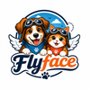 Flyface – Inicio