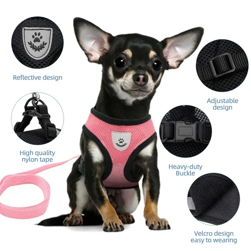 Arnés de malla ajustable para gatos