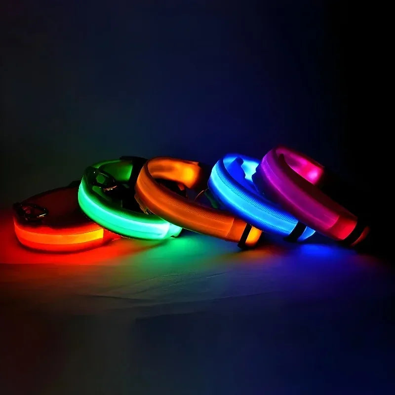 Collar luminoso LED