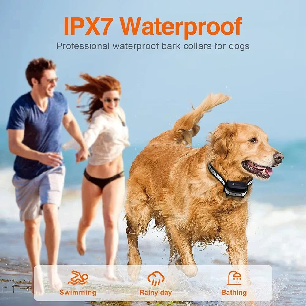 Collar de Adiestramiento Pro 1000m Impermeable