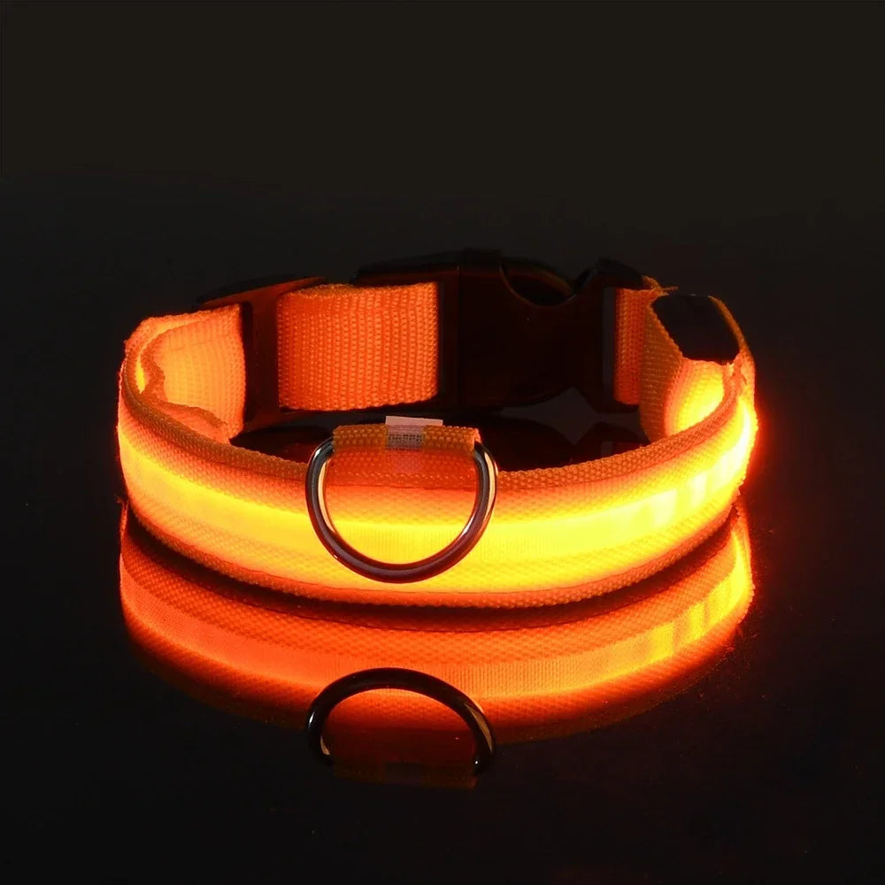 Collar luminoso LED
