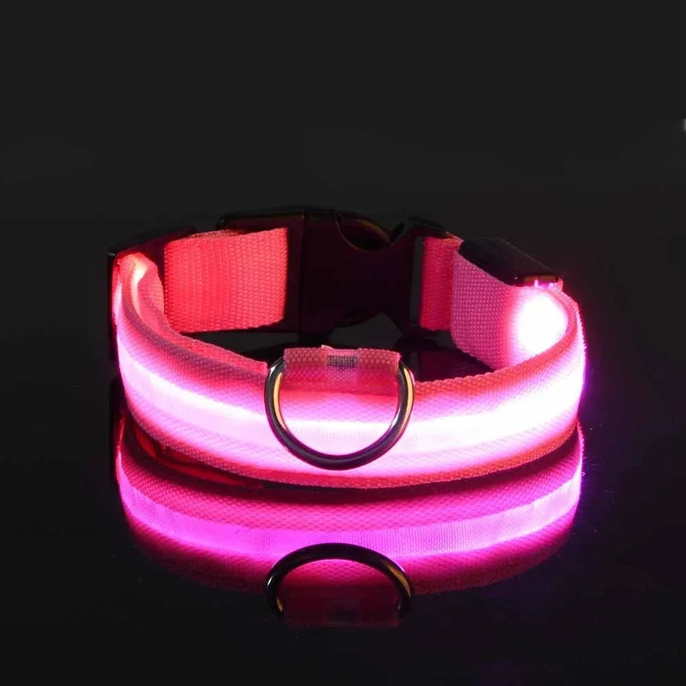 Collar luminoso LED