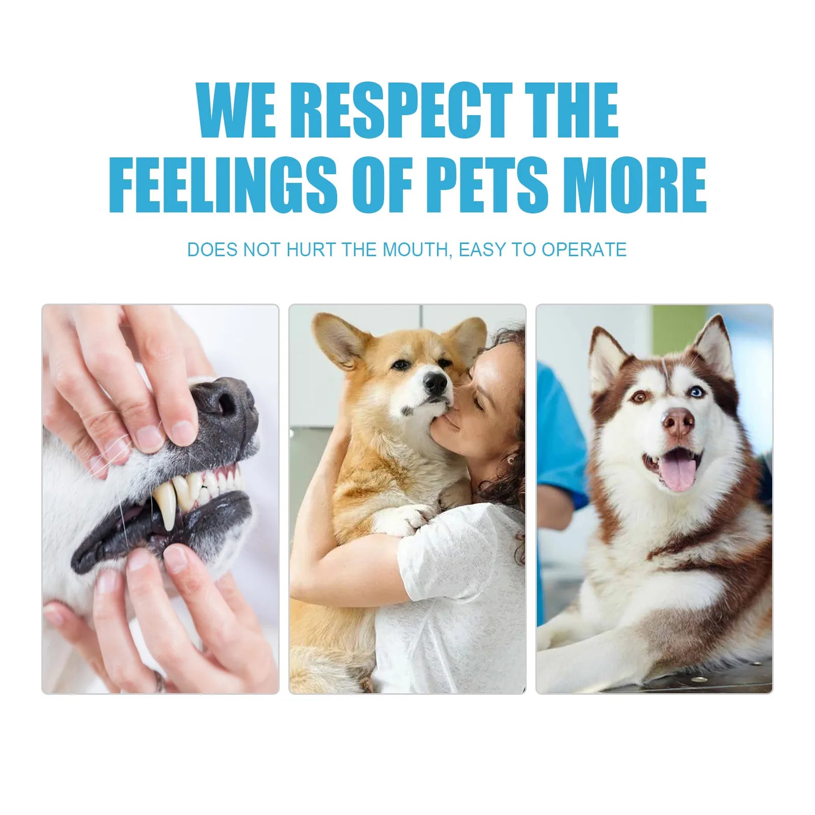 Pasta de dientes para mascotas Fórmula comestible Control del sarro Refresca el aliento Limpieza bucal suave para perros Gatos Todas las razas Uso diario