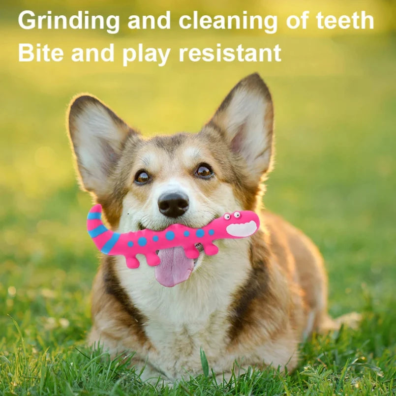 Toy lizard for dogs
