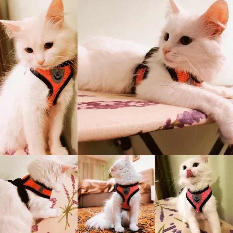 Arnés de malla ajustable para gatos