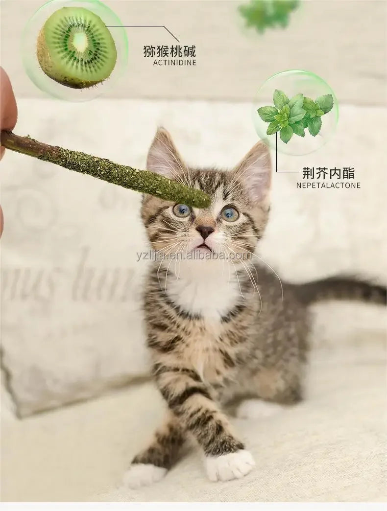 Palo de gato Matatabi Natural, varillas excitadoras de mordida de menta, 6unds.