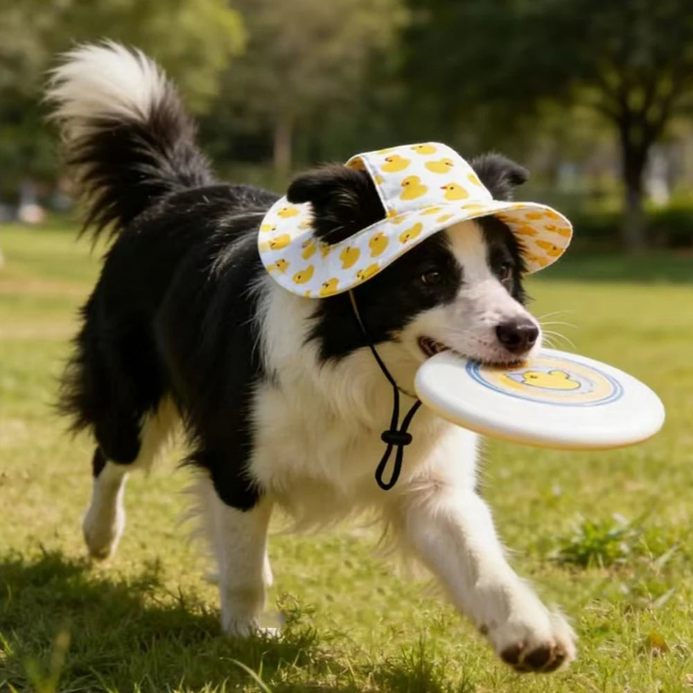 Cute Patterned Hat for Small and Medium Dogs