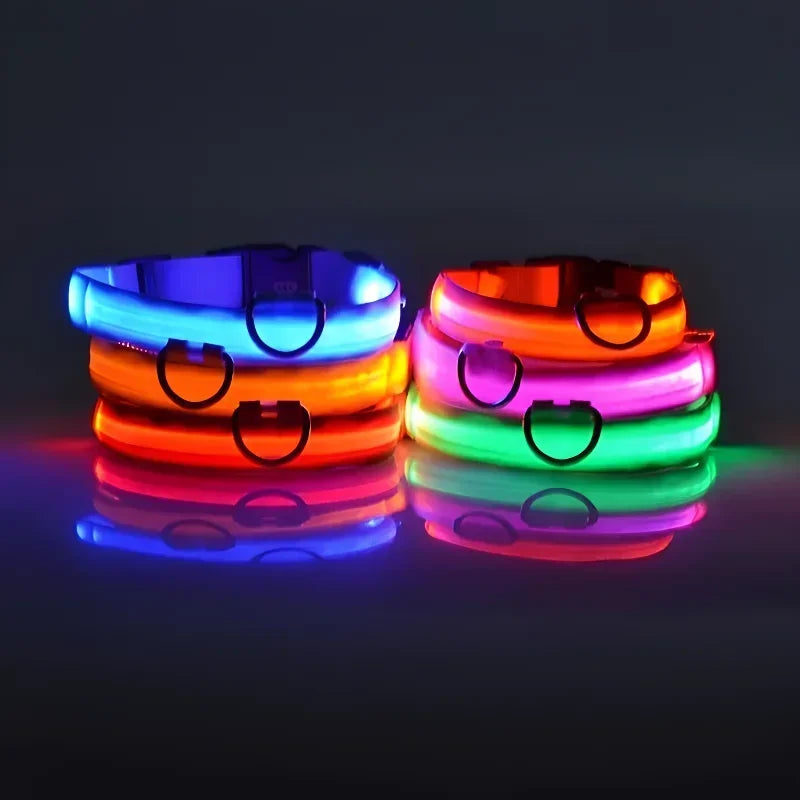 Collar luminoso LED