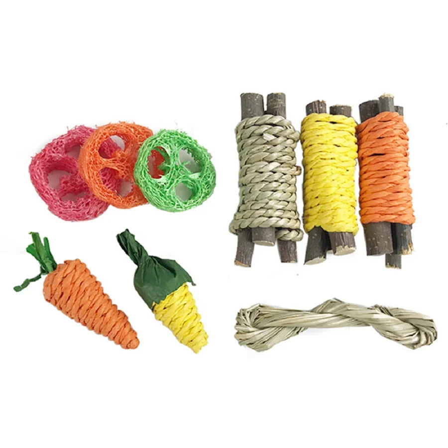 Juguete y Snack Dental para Mascotas Pequeñas