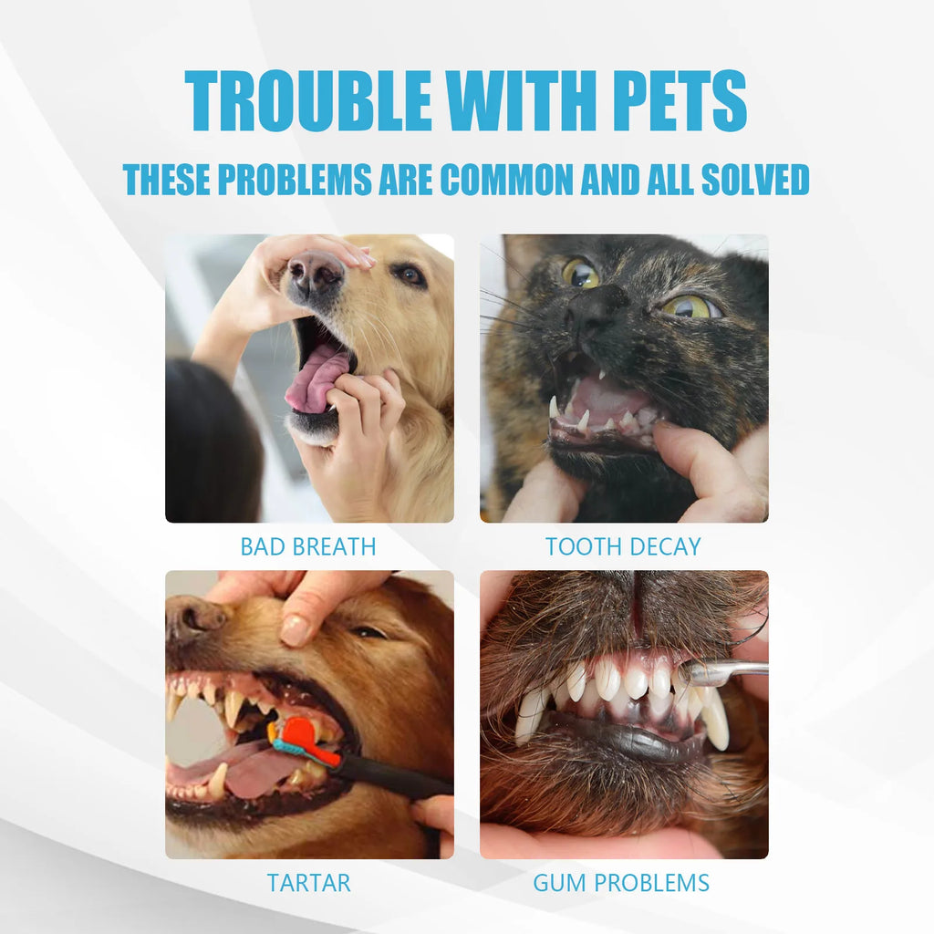 Pasta de dientes para mascotas Fórmula comestible Control del sarro Refresca el aliento Limpieza bucal suave para perros Gatos Todas las razas Uso diario