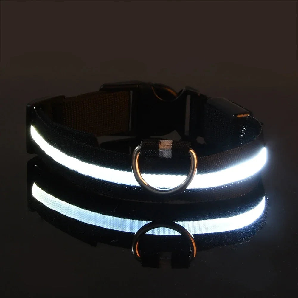 Collar luminoso LED
