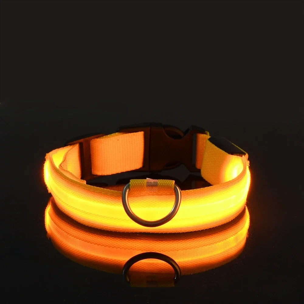 Collar luminoso LED