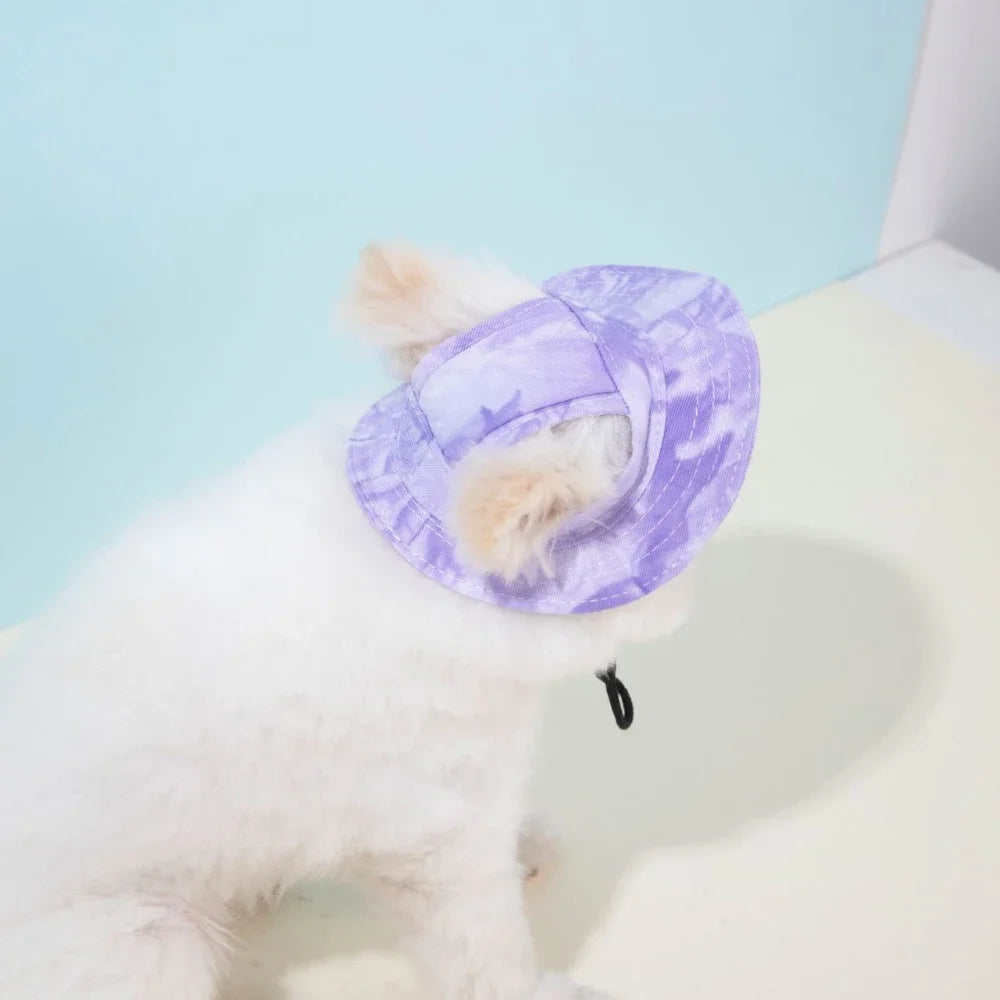 Pet Hat with Ear Holes