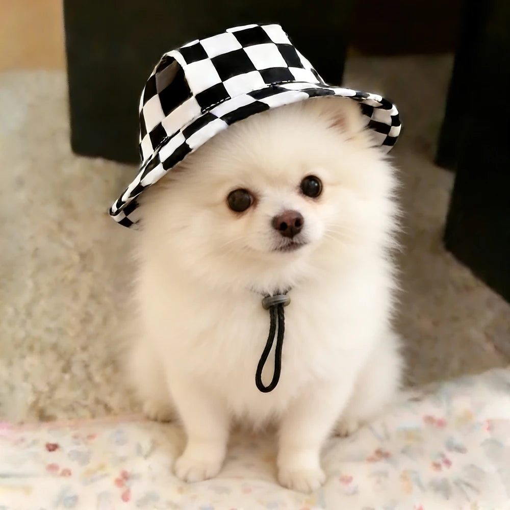 Cute Patterned Hat for Small and Medium Dogs