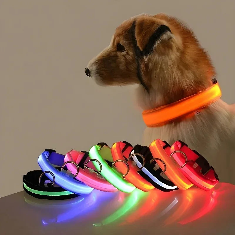 Collar luminoso LED