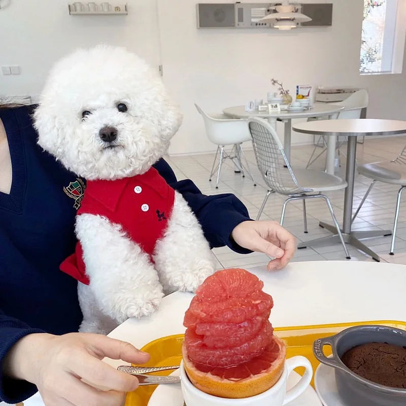 Polo veraniego para perro