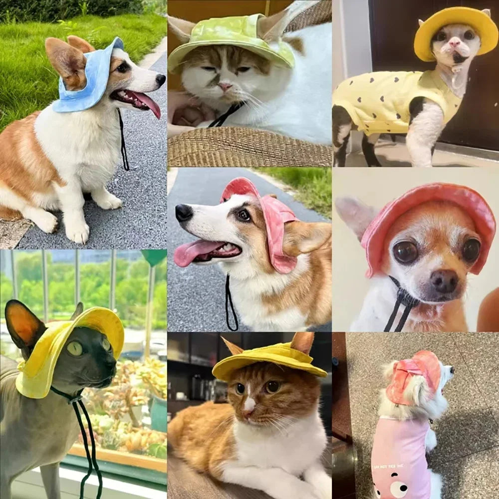 Pet Hat with Ear Holes