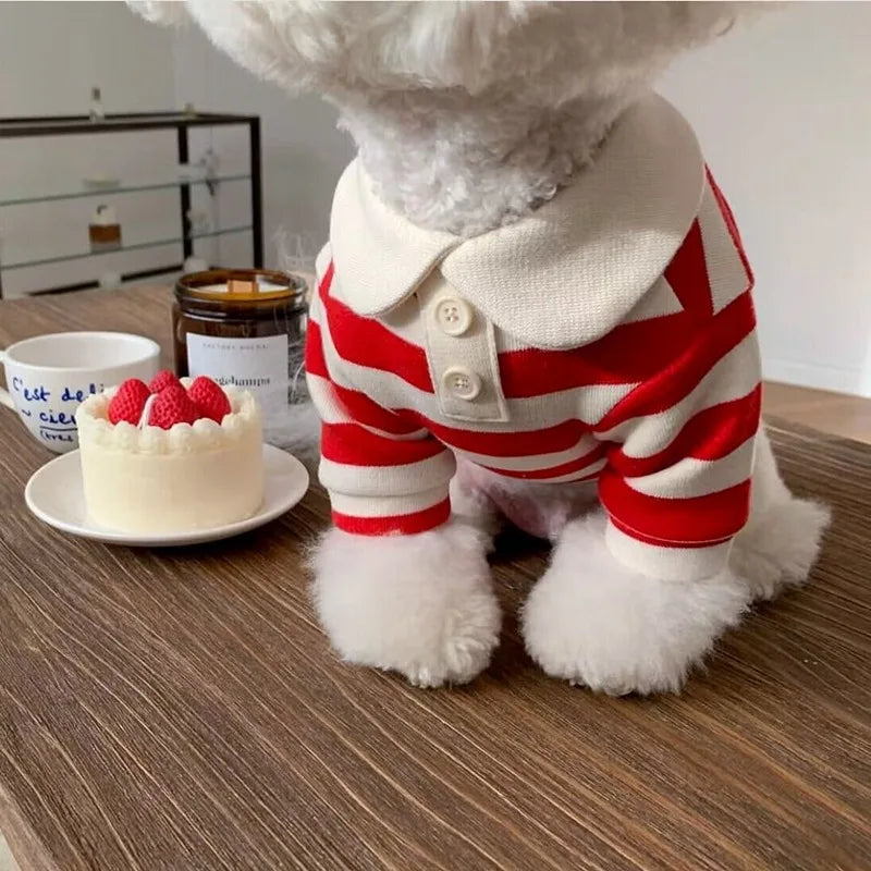 Summer polo shirt for dog