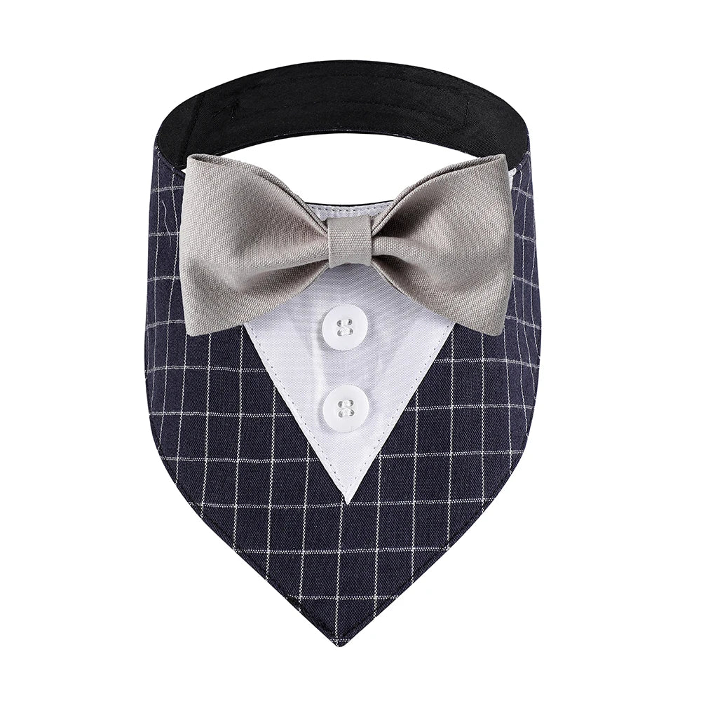 Traje de pajarita