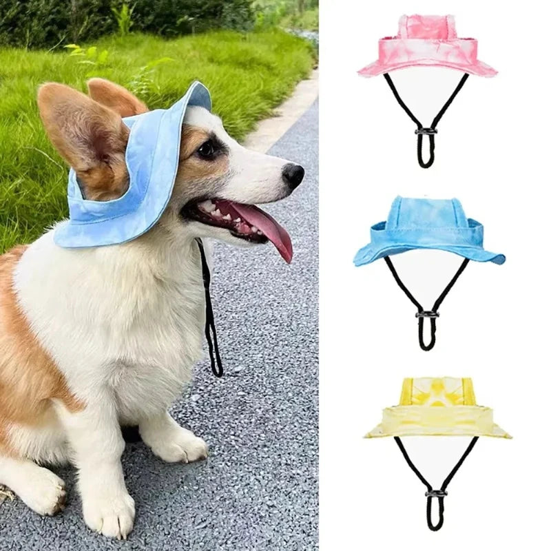 Pet Hat with Ear Holes