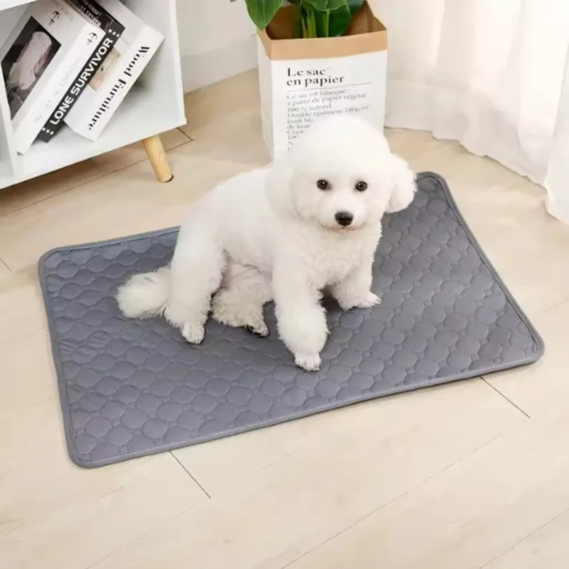 Alfombrilla Absorbente para Orina de Perro