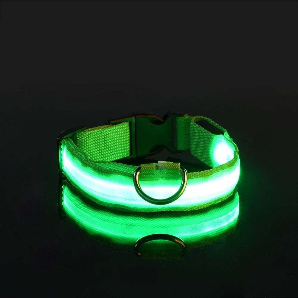 Collar luminoso LED