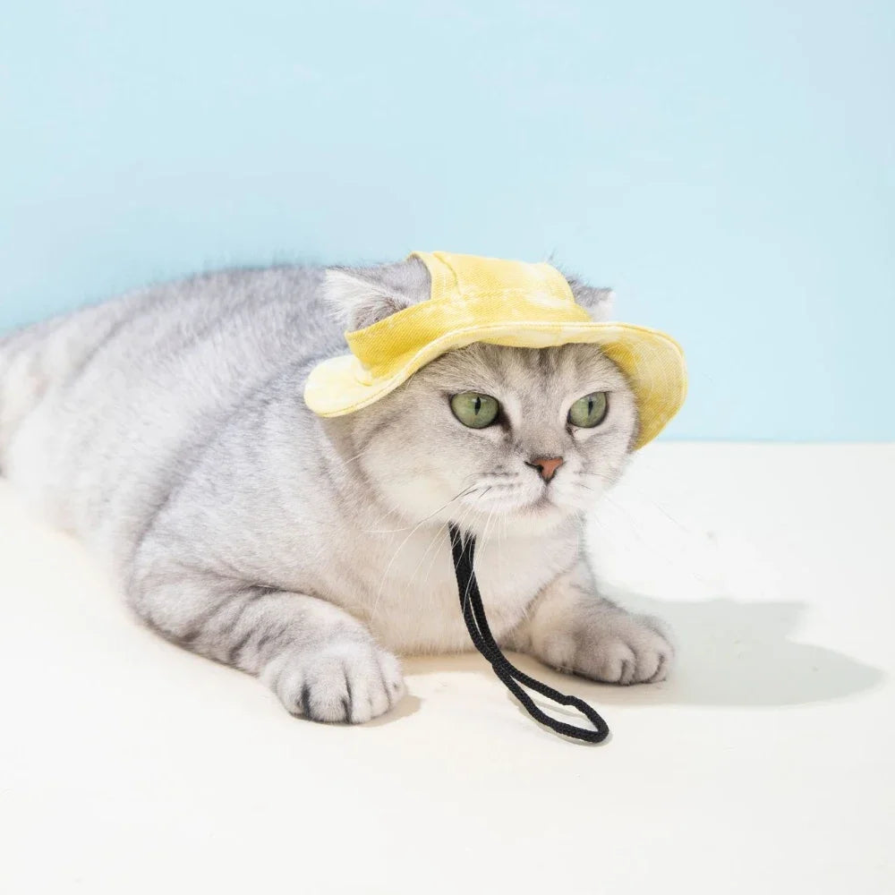 Pet Hat with Ear Holes